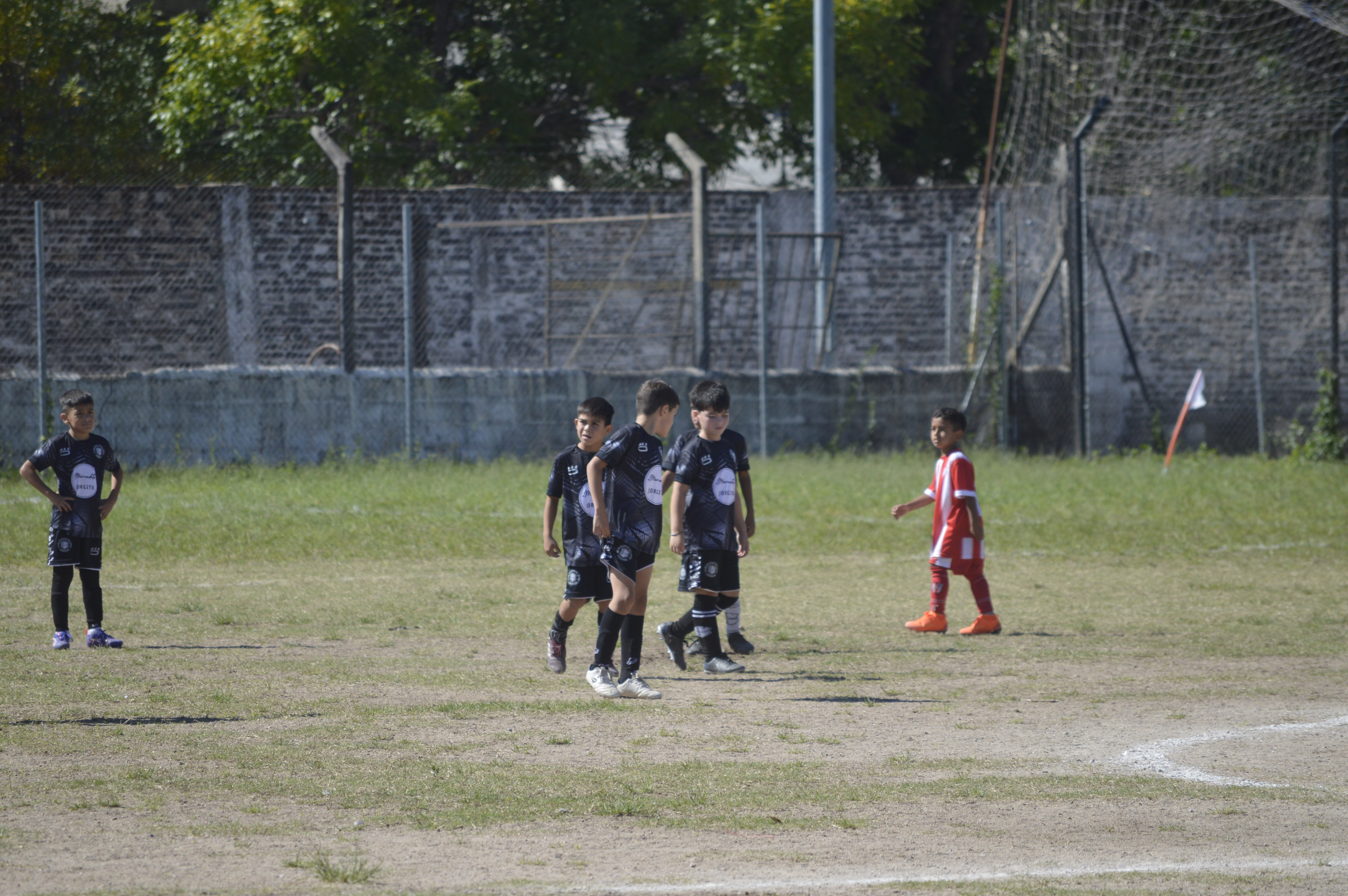 Imagen 3
